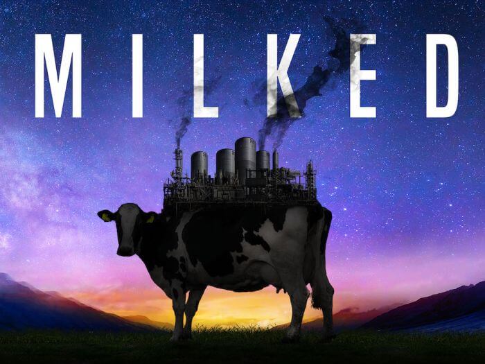 Milked - recenzja filmu